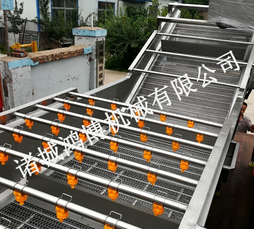 人參清洗機(jī)