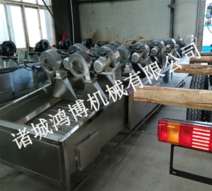 異形果蔬風(fēng)干機