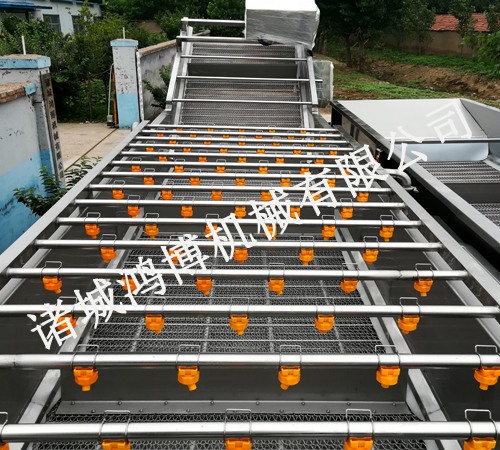 專業(yè)蔬菜清洗機